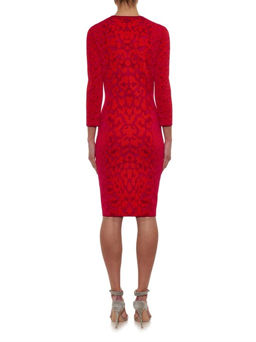 Leopard-intarsia stretch-knit dress | Alexander McQueen | MATCHESFASHION US
