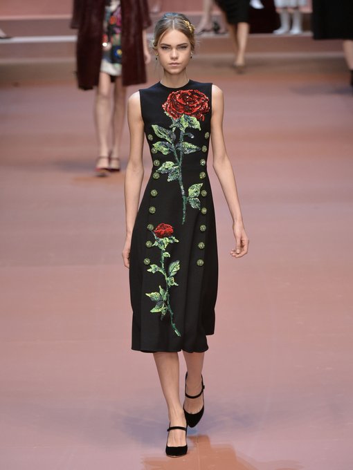 Rose sequin-embellished wool midi dress | Dolce & Gabbana ...