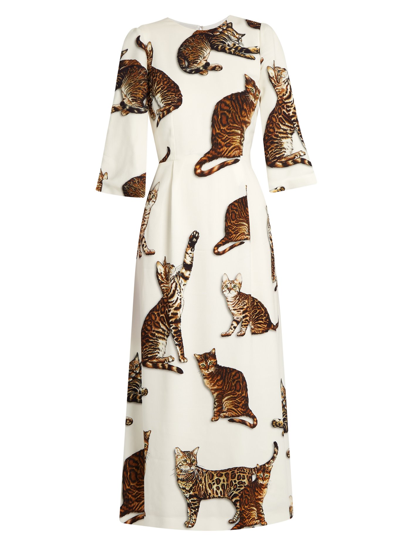 dolce and gabbana cat dress
