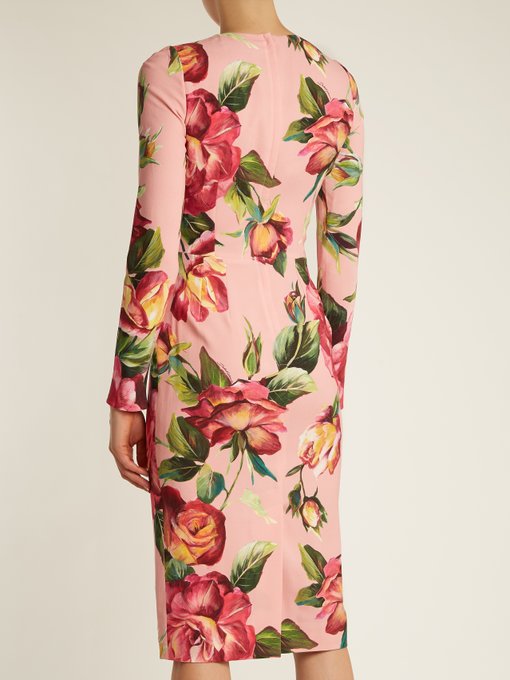 Round-neck rose-print crepe-cady dress | Dolce & Gabbana ...