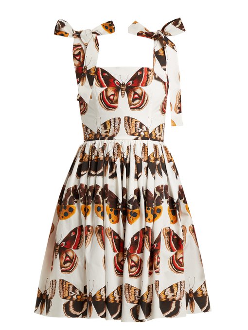 dolce and gabbana butterfly