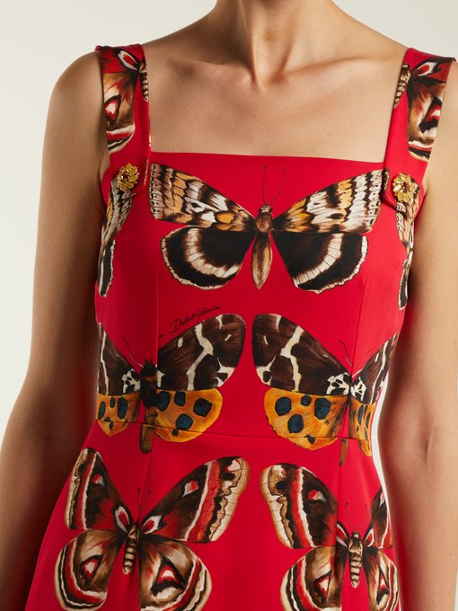 dolce and gabbana butterfly dress