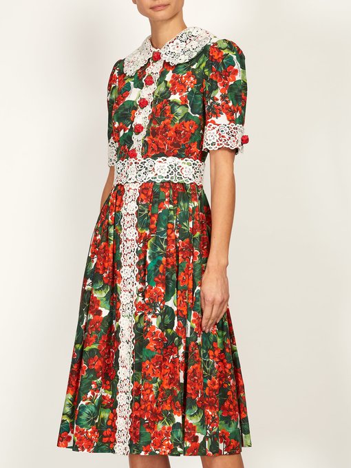Lace geranium-print cotton-poplin dress | Dolce & Gabbana ...