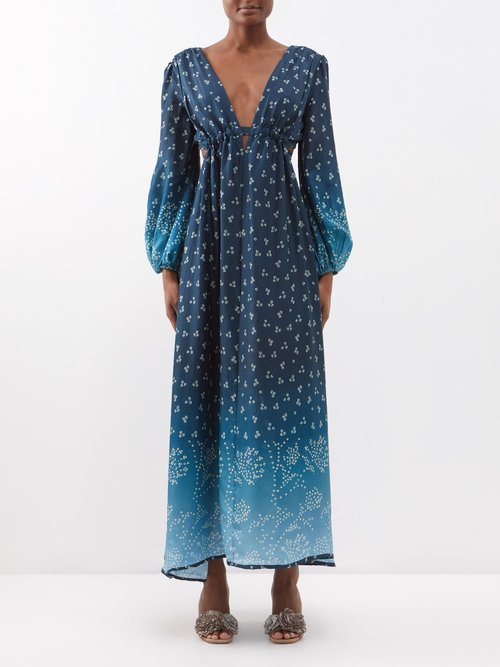 Hannah Artwear Emery Floral-print Silk-habotai Maxi Dress