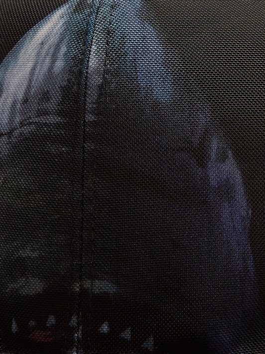 Givenchy Shark-print panel cap